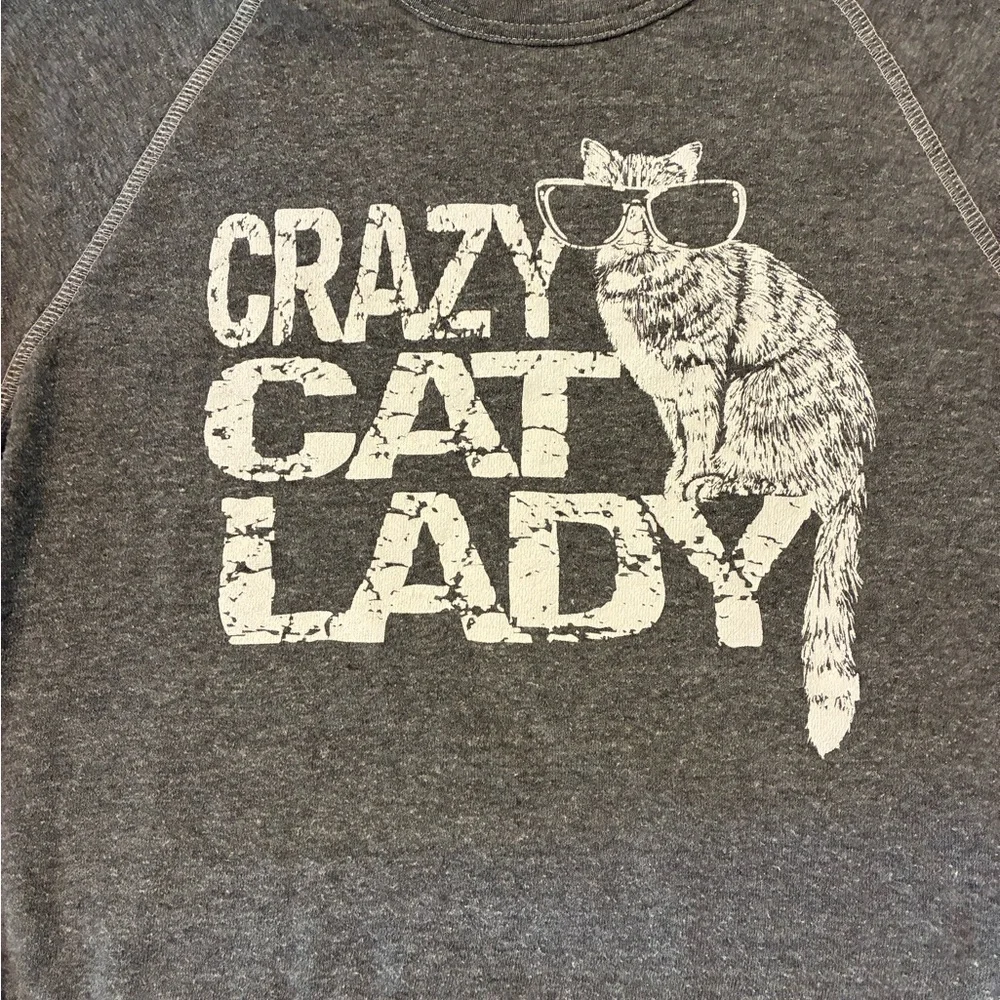Gray Crazy Cat Lady Sweatshirt - Picture 3 of 6